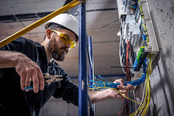 Best Electric Panel Repair  in Olcott, NY